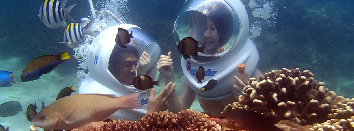 Bali Coral