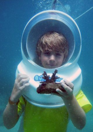 Coral Planting Coral Planting