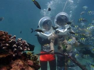 Feeding fish under water