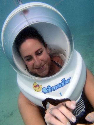 seawalker bali seahorse release