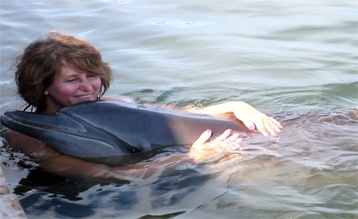 Dolphin Interaction & Dolphin Swimming